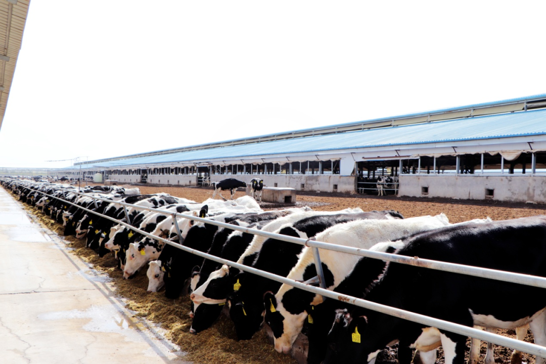 640 (2).png 640 (2).png