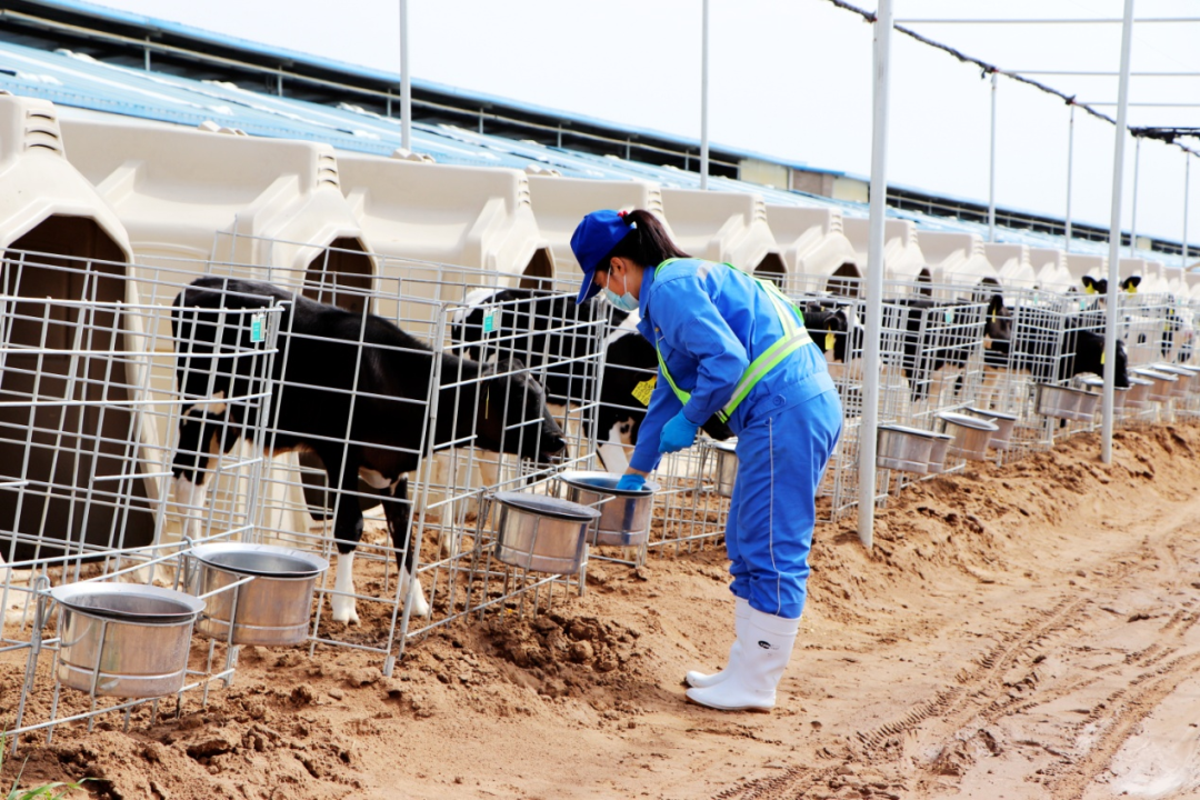 640 (3).png 640 (3).png