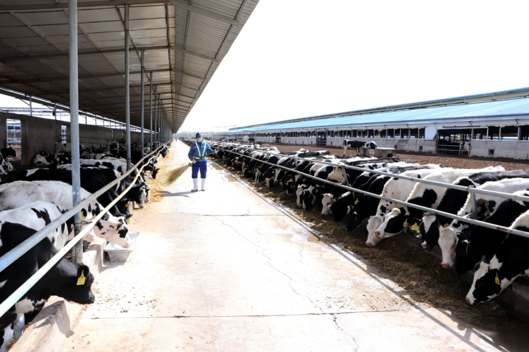 640 (2).png 640 (2).png