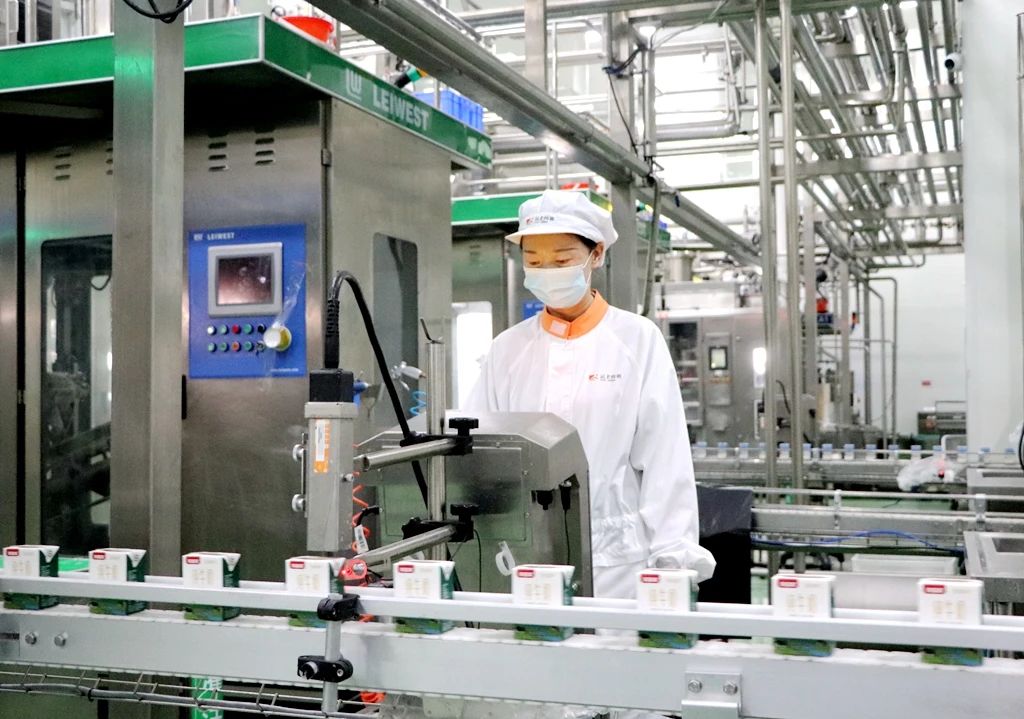 双节将至销售旺，加班赶货生产忙——甘肃前进集团传祁乳业开足马力保供应